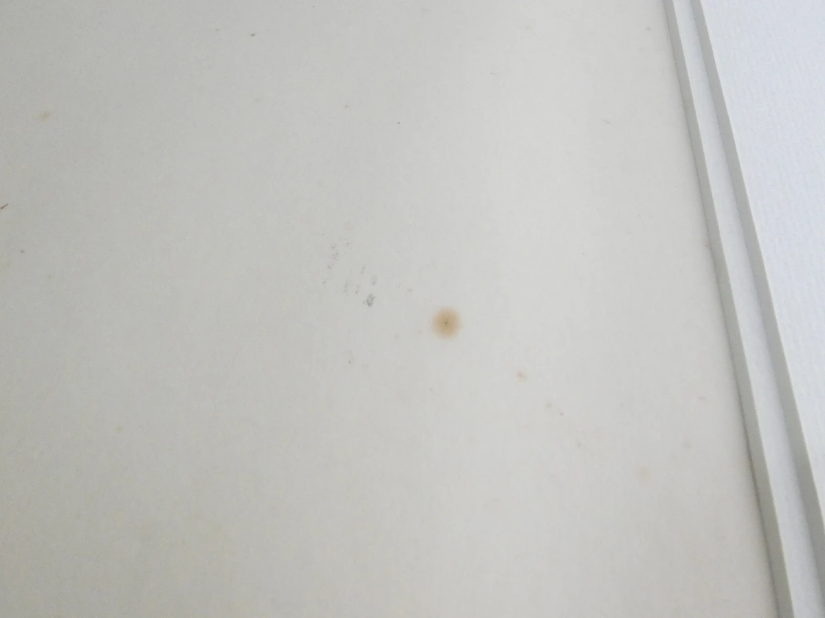 Gesigneerde litho in lijst, genummerd 30/100