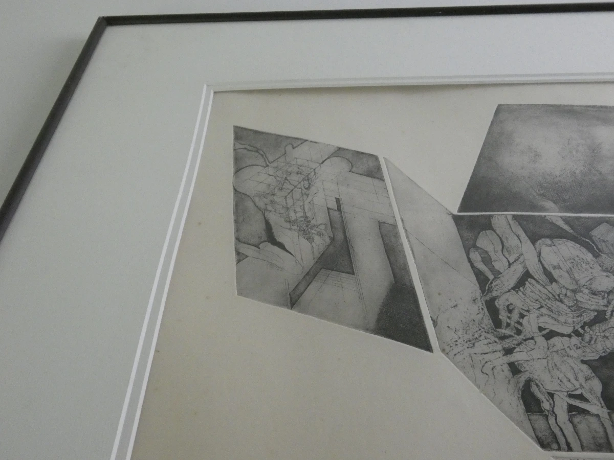 Gesigneerde litho in lijst, genummerd 30/100