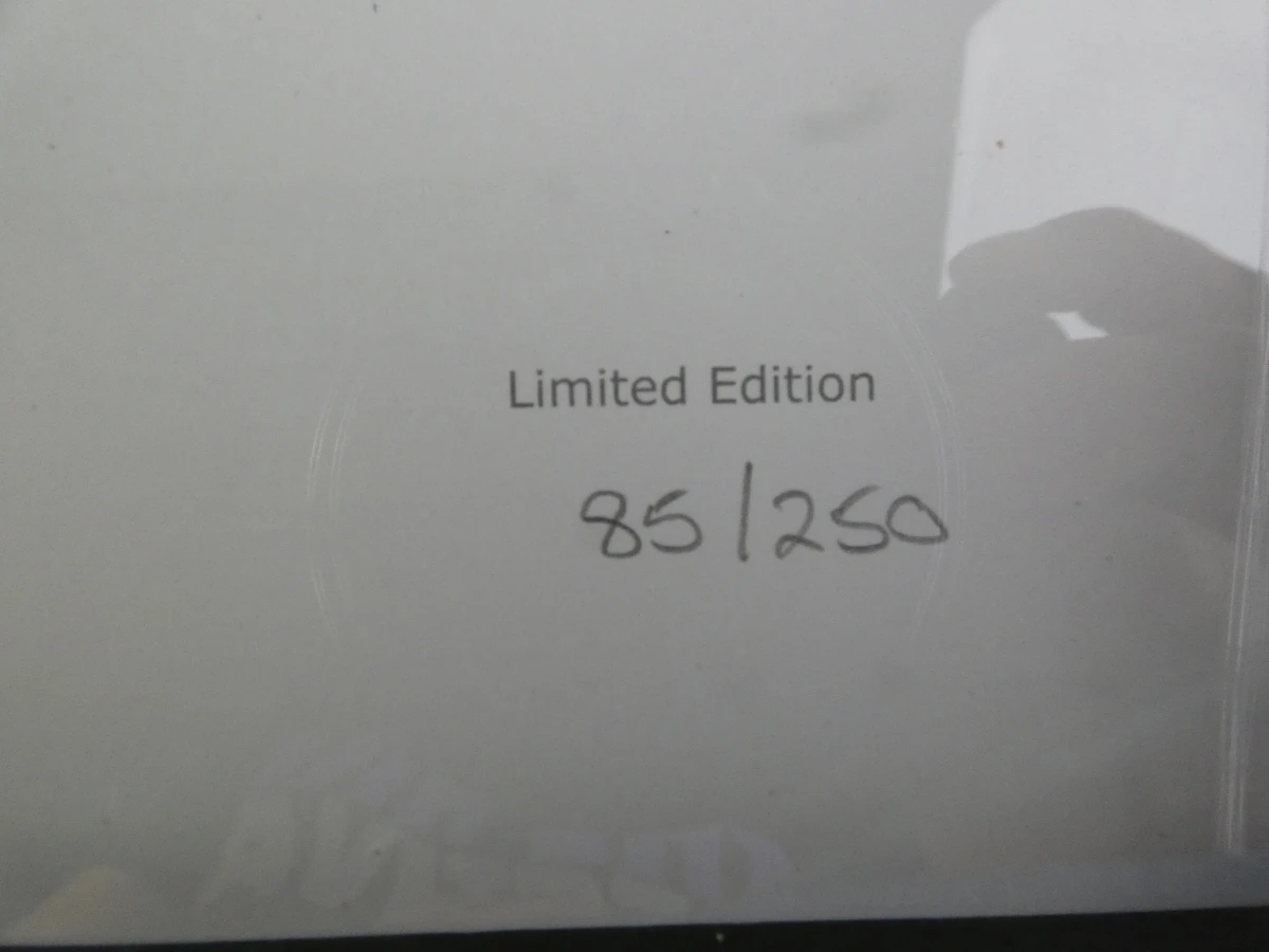 50th Anniversary Limited Edition ingekaderde Vinyls The Beatles