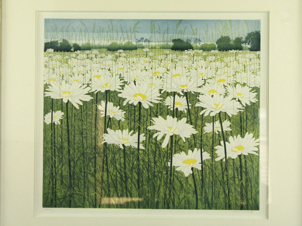'Daisy' ets-aquatint Donald Wilkinson (°1937)