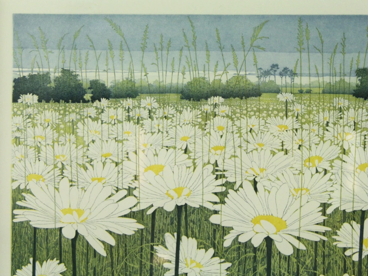 'Daisy' ets-aquatint Donald Wilkinson (°1937)