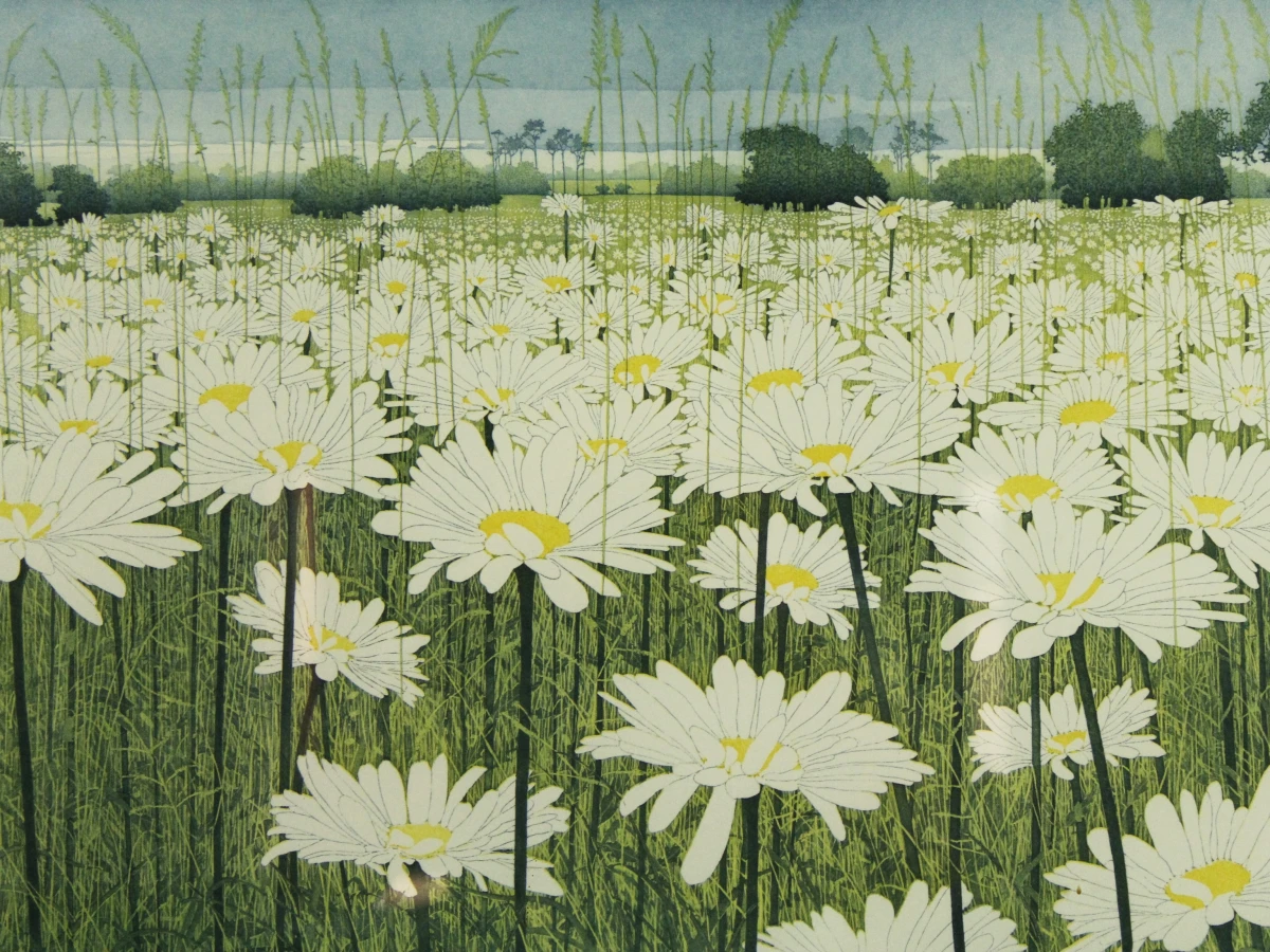 'Daisy' ets-aquatint Donald Wilkinson (°1937)
