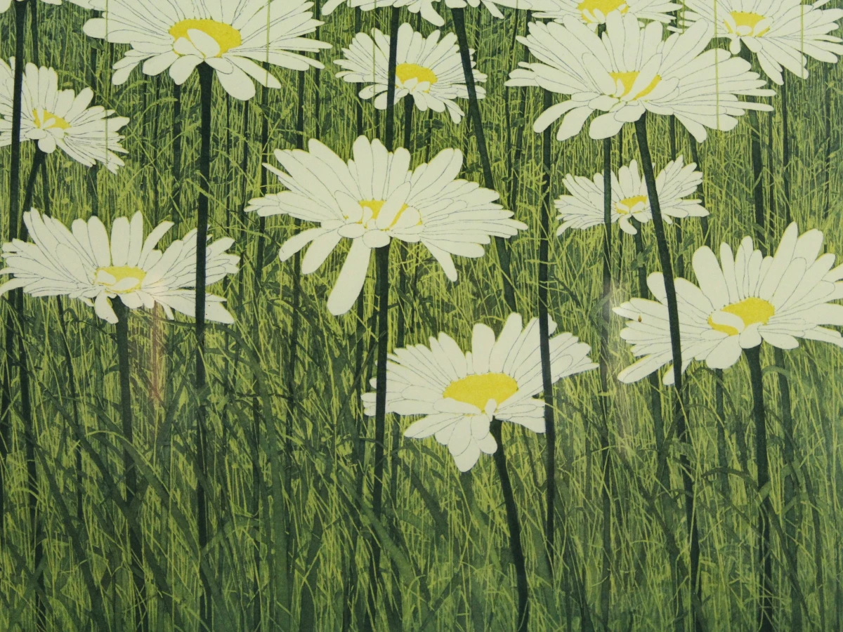 'Daisy' ets-aquatint Donald Wilkinson (°1937)