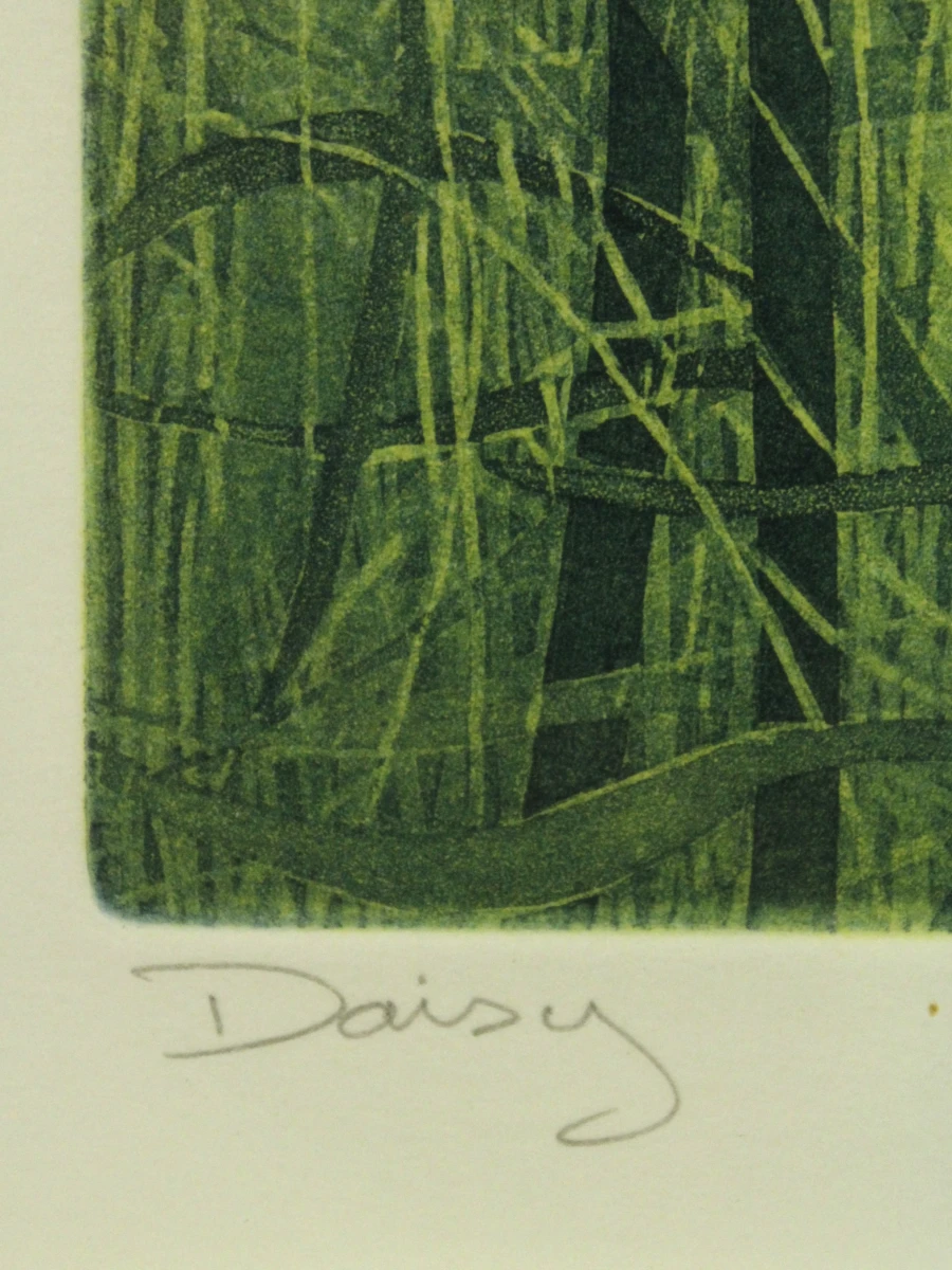 'Daisy' ets-aquatint Donald Wilkinson (°1937)