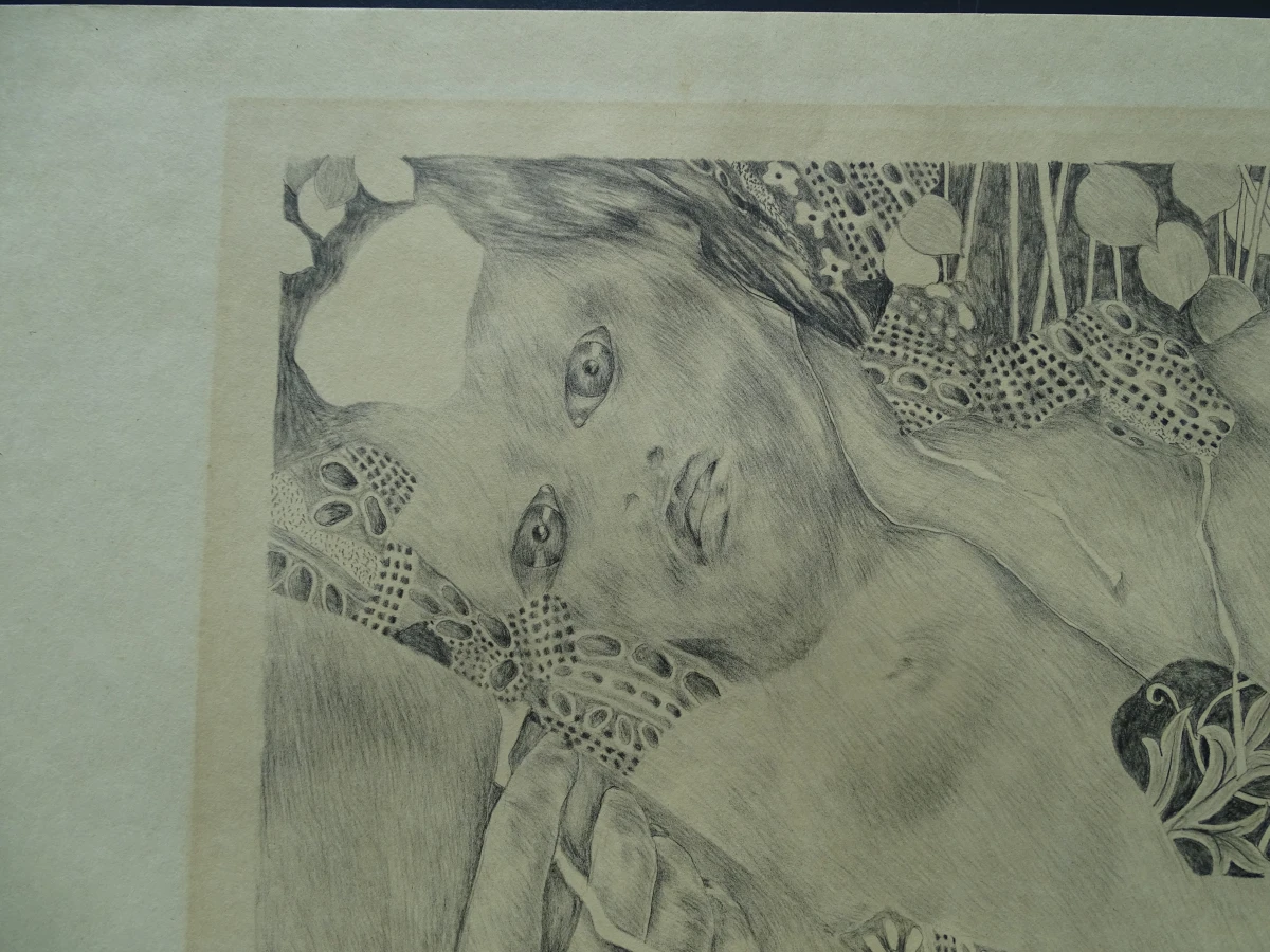 Pierre Vlerick litho