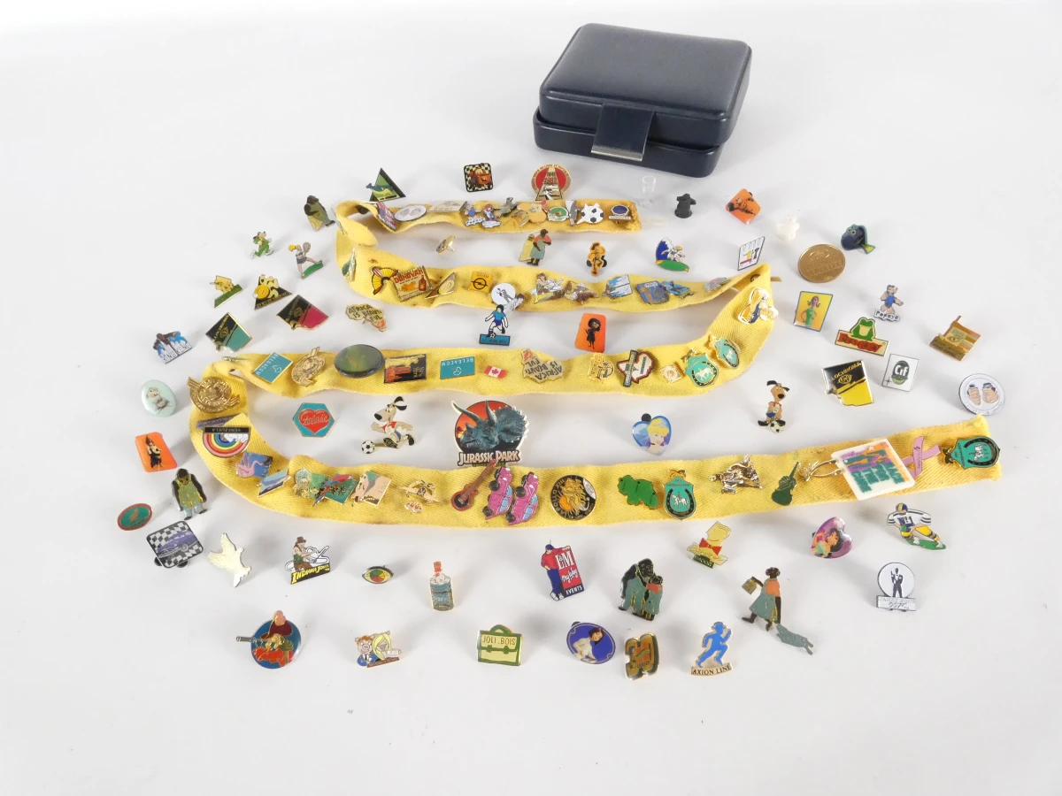 Verzameling diverse pinnen met etui(121 stuks)