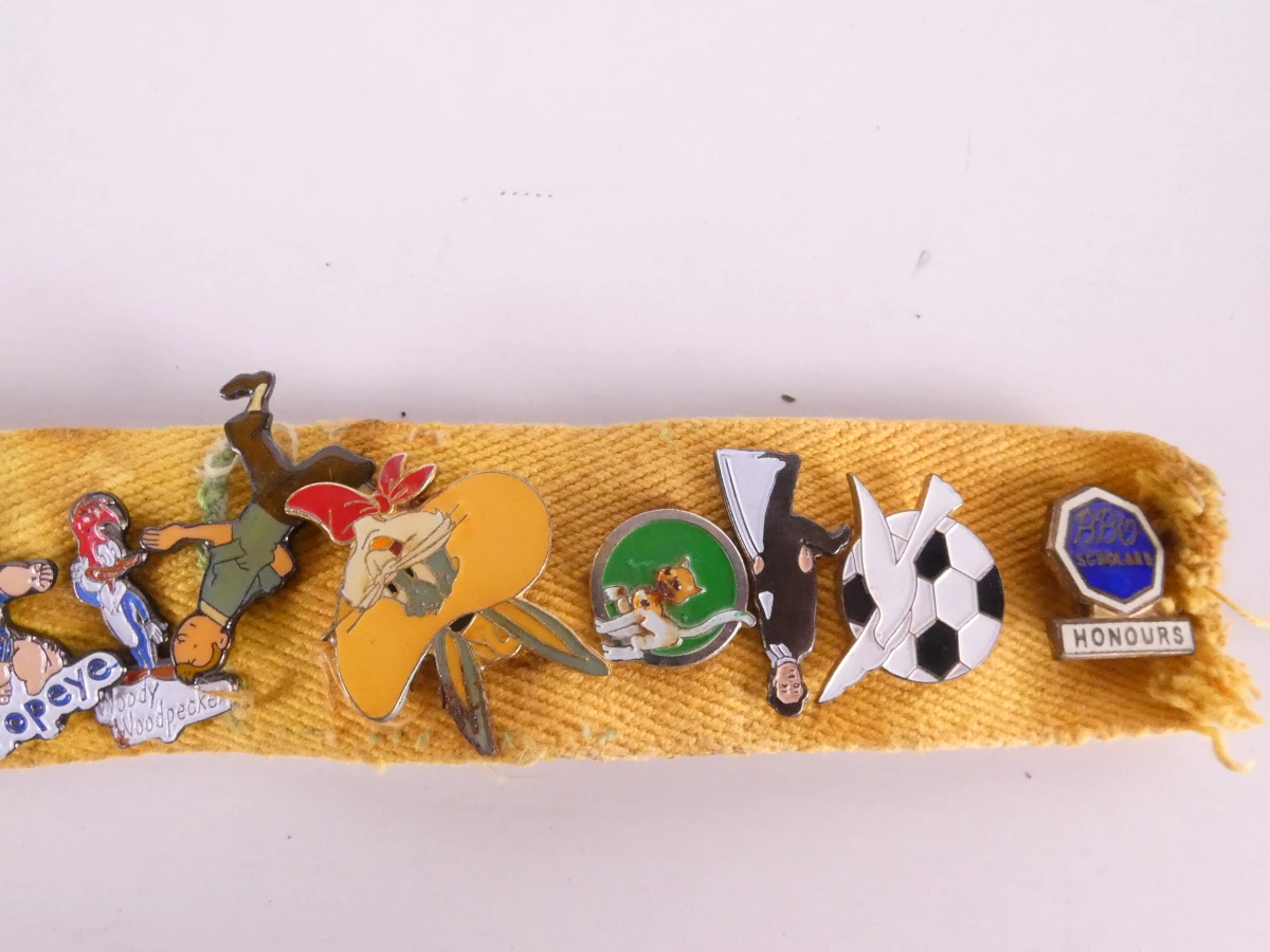 Verzameling diverse pinnen met etui(121 stuks)
