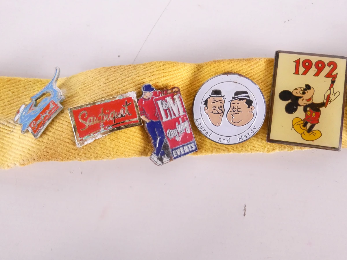 Verzameling diverse pinnen met etui(121 stuks)