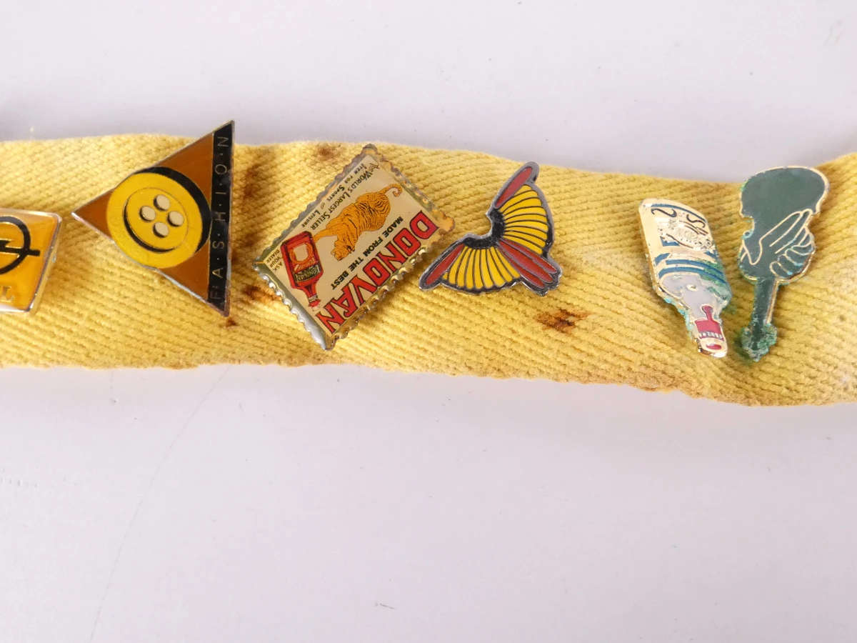 Verzameling diverse pinnen met etui(121 stuks)