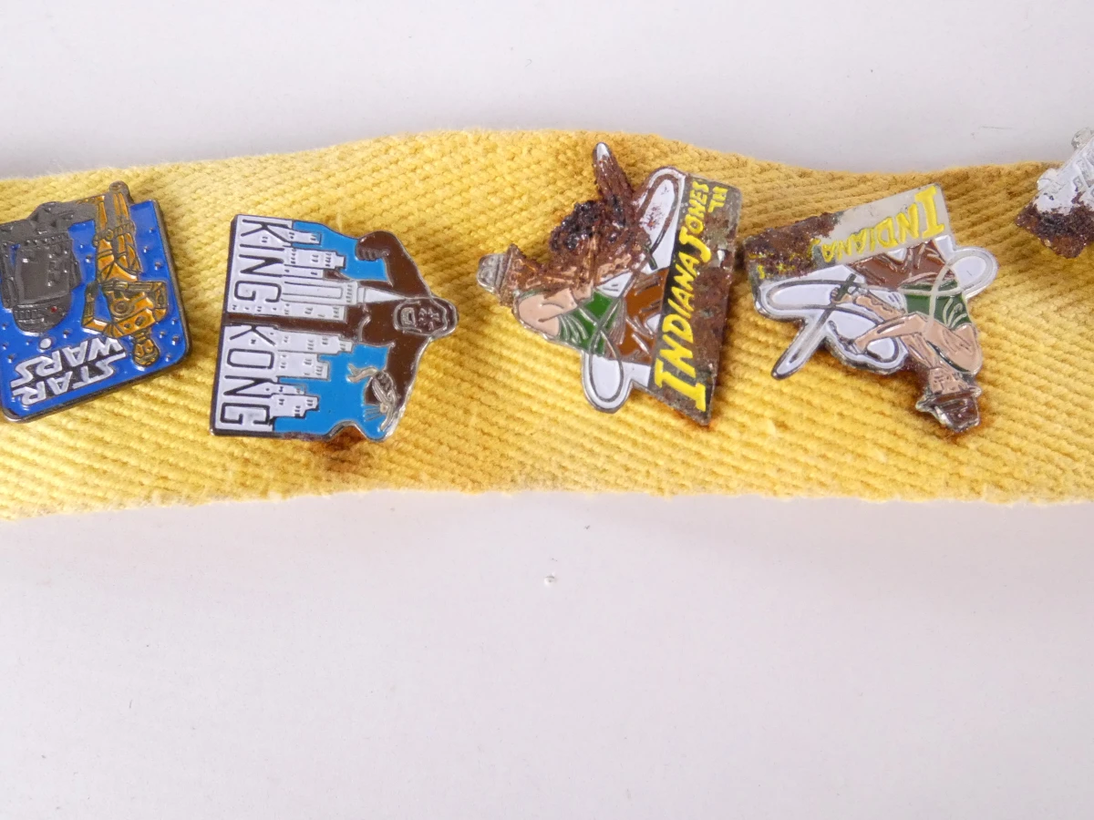 Verzameling diverse pinnen met etui(121 stuks)