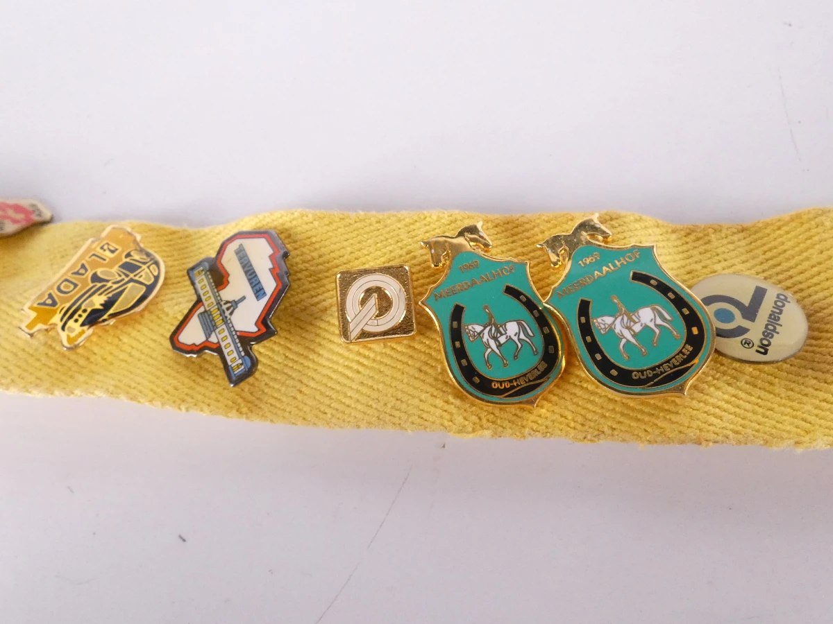 Verzameling diverse pinnen met etui(121 stuks)