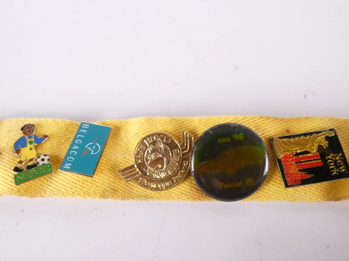 Verzameling diverse pinnen met etui(121 stuks)
