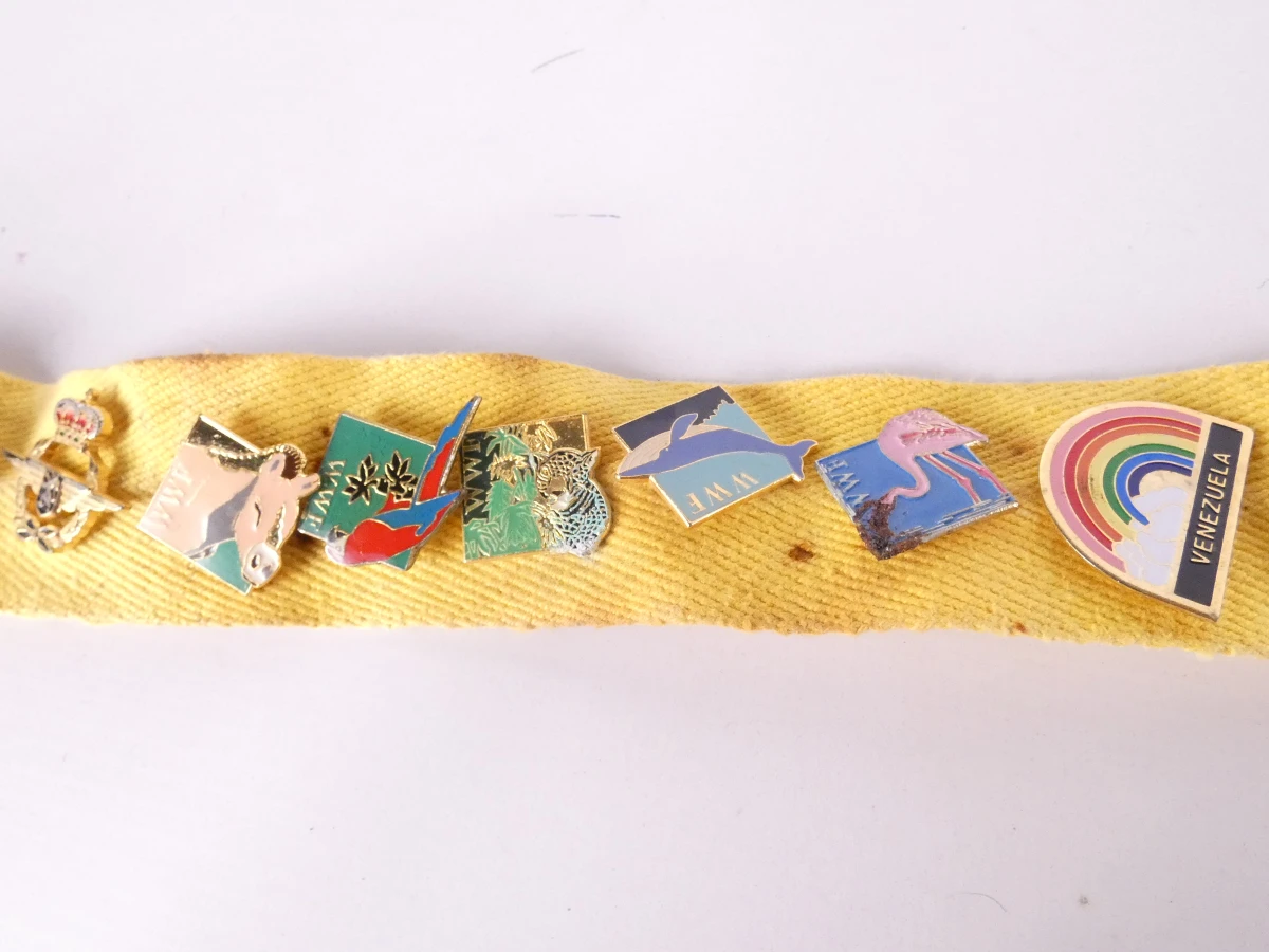 Verzameling diverse pinnen met etui(121 stuks)