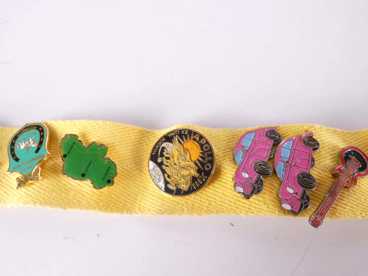 Verzameling diverse pinnen met etui(121 stuks)