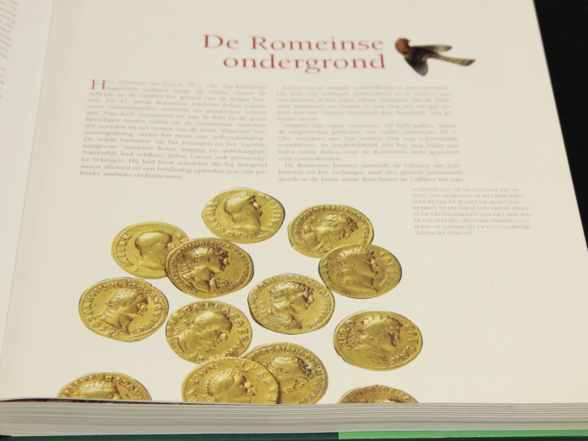 Rondreis door middeleeuws Vlaanderen - Honoré Rottier (°1940)