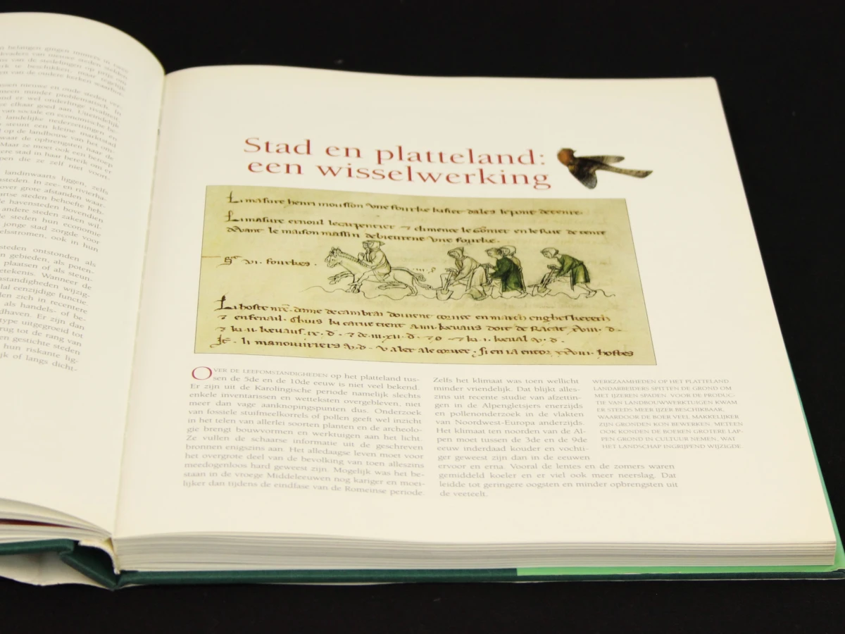 Rondreis door middeleeuws Vlaanderen - Honoré Rottier (°1940)