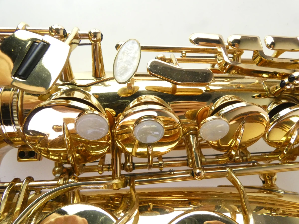 Altsaxofoon New York Symphonie met koffer en accessoires - foto 6