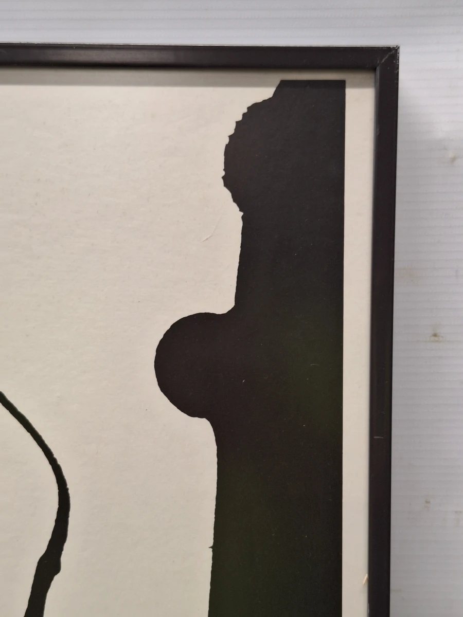originele affiche/lithografie uit 1969 - CoBrA - Lucebert – Amnesty International Amsterdam – - foto 7