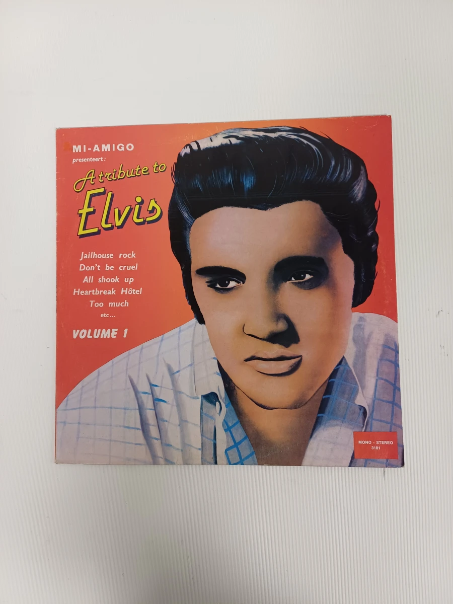 Verzameling Elvis Presley vinylplaten - foto 2