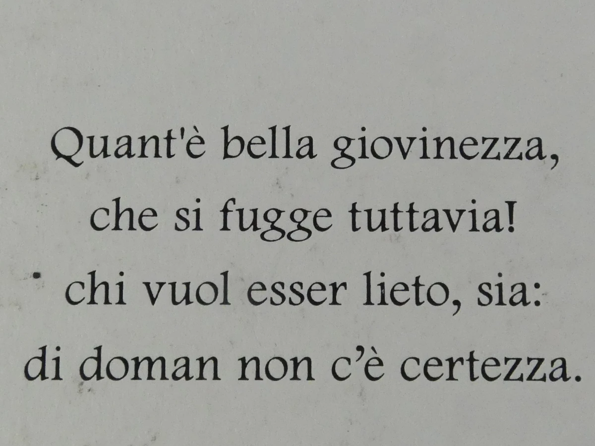 Gucci gift catalog boek met illustraties
