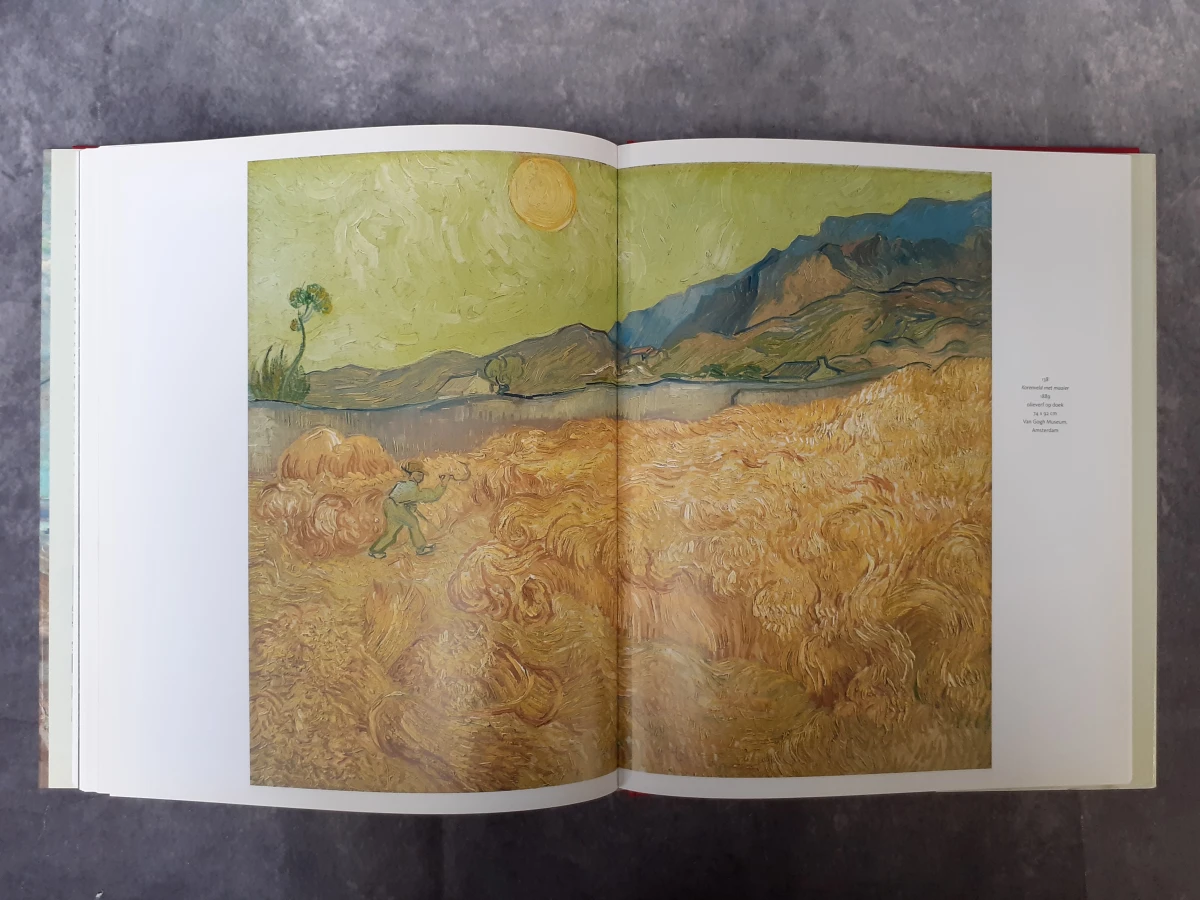 Boek: Van Gogh aan het werk - foto 20