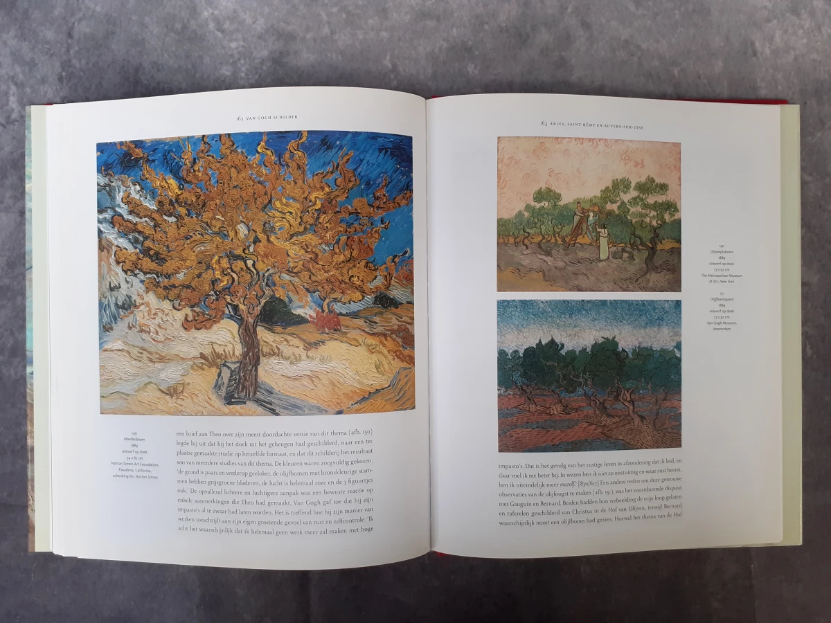 Boek: Van Gogh aan het werk - foto 21