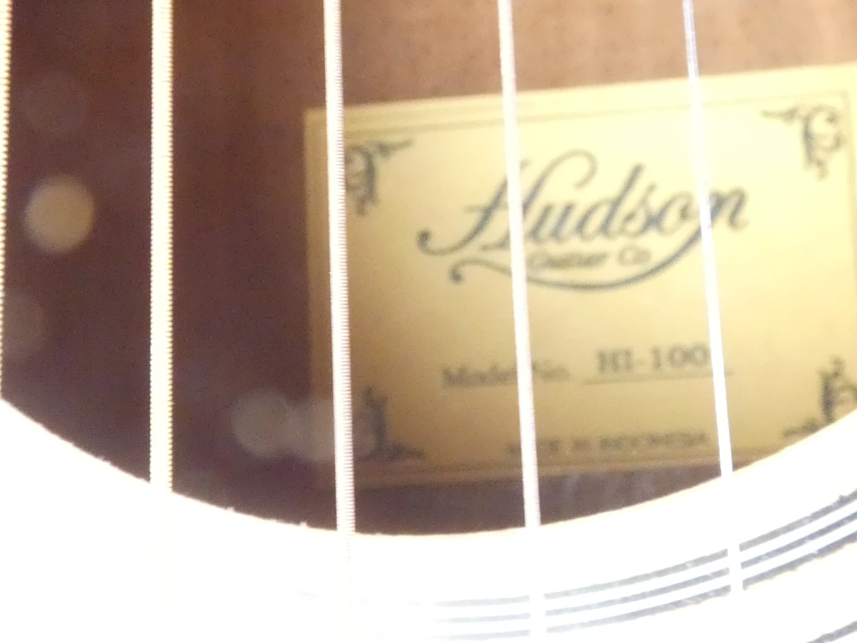 Hudson HI-100 Dreadnought akoestische gitaar met Ritter draagtas - foto 7
