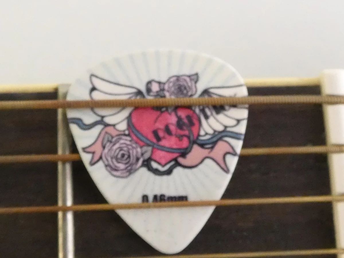 Hudson HI-100 Dreadnought akoestische gitaar met Ritter draagtas - foto 11
