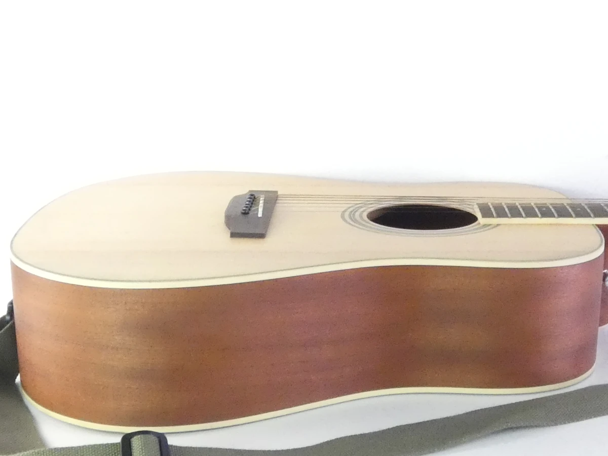 Hudson HI-100 Dreadnought akoestische gitaar met Ritter draagtas - foto 14