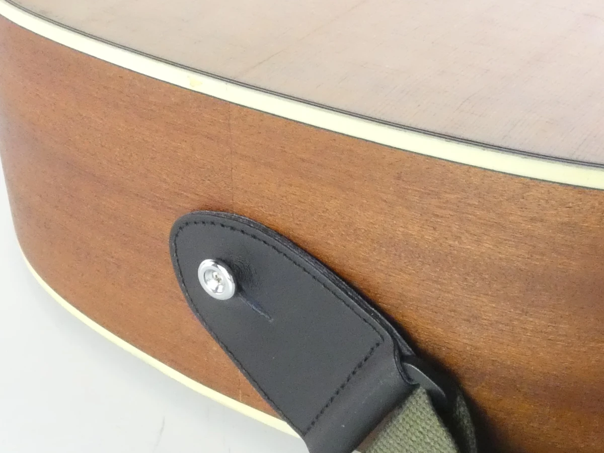 Hudson HI-100 Dreadnought akoestische gitaar met Ritter draagtas - foto 15