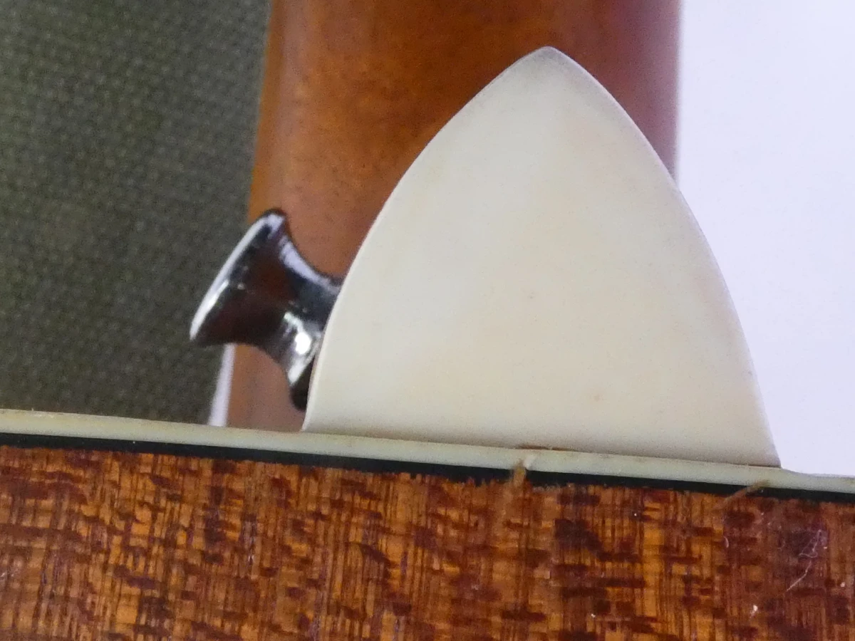 Hudson HI-100 Dreadnought akoestische gitaar met Ritter draagtas - foto 17