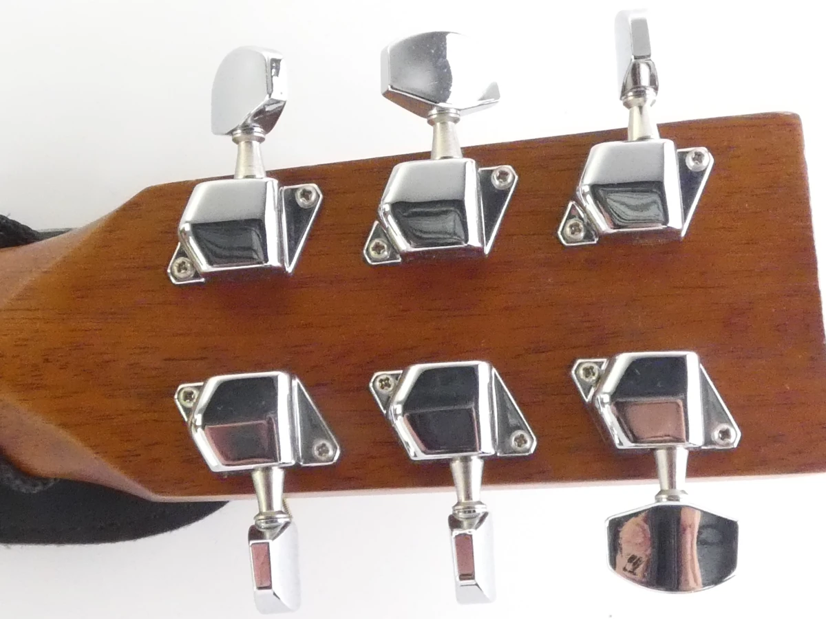 Hudson HI-100 Dreadnought akoestische gitaar met Ritter draagtas - foto 18