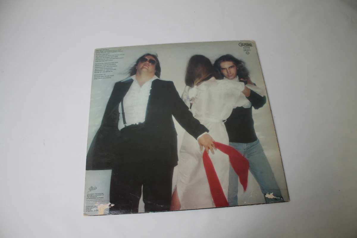 Vinylplaat Meat Loaf - Bat Out of Hell - foto 2