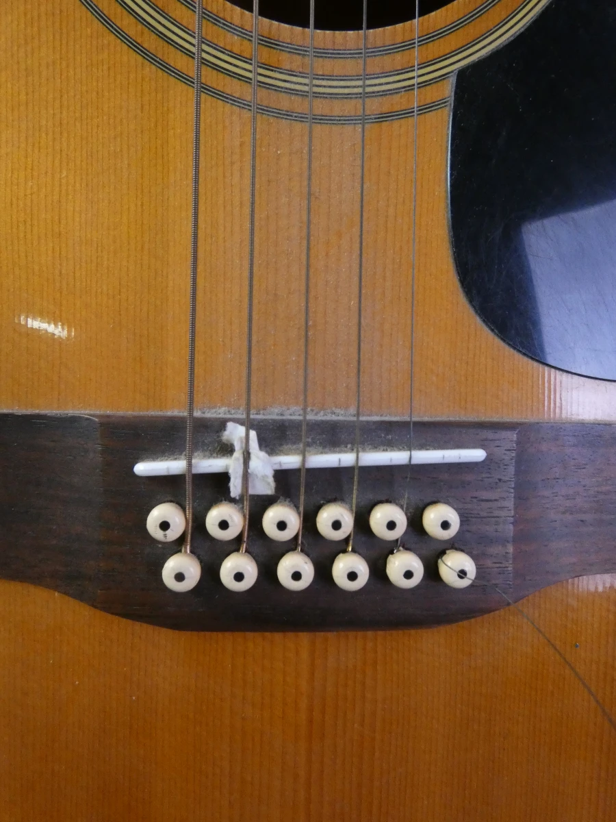 12-snarige akoestische gitaar Bird - foto 5