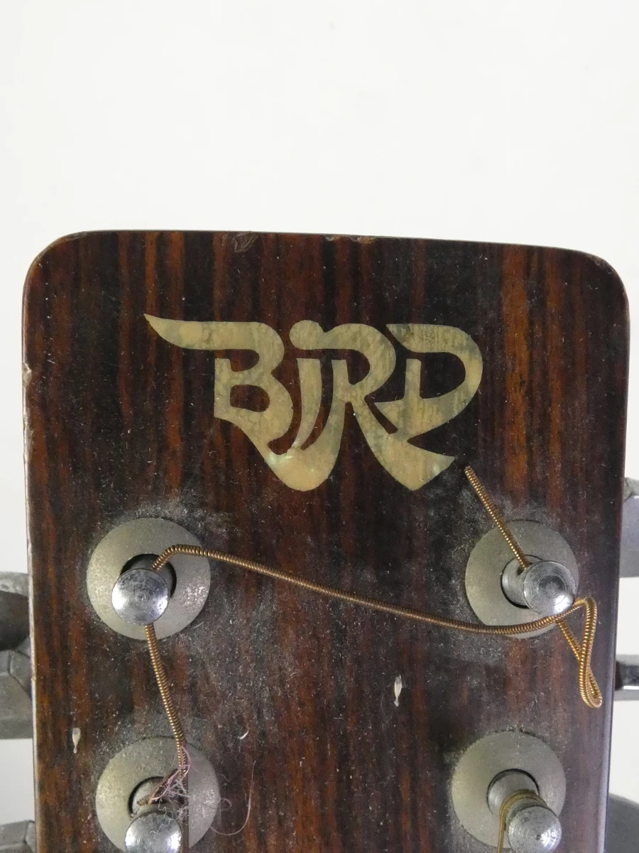 12-snarige akoestische gitaar Bird - foto 7