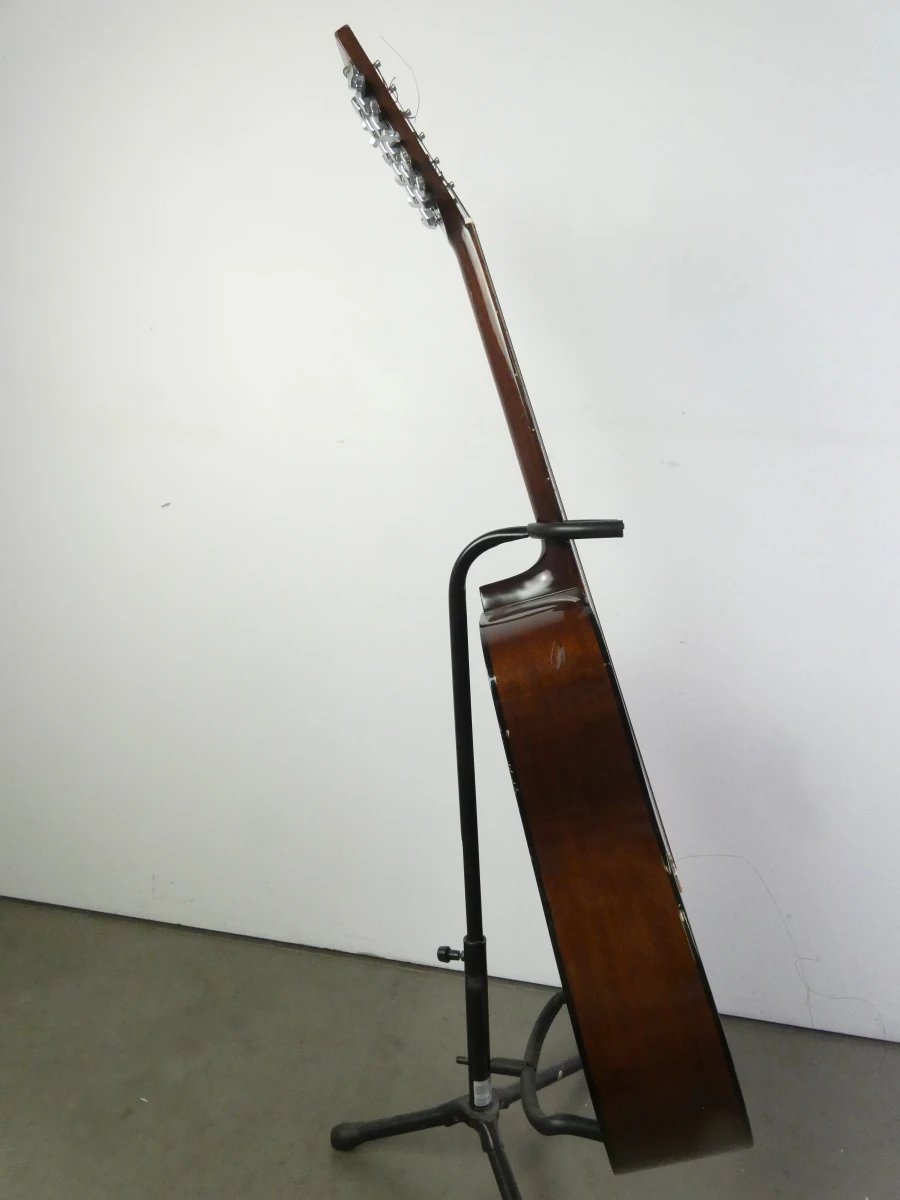 12-snarige akoestische gitaar Bird - foto 23