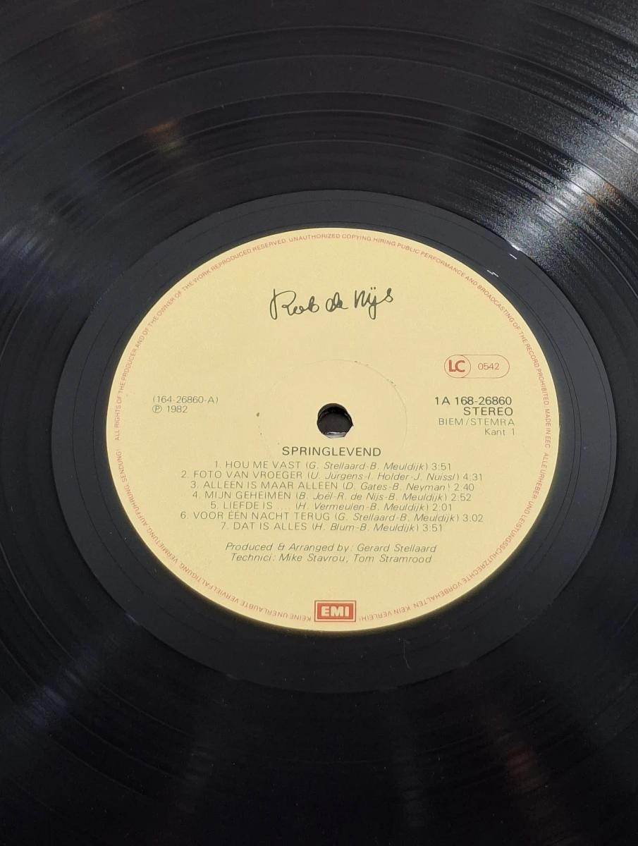 Verzameling van 7 vinylplaten Rob de Nijs met hoes - foto 6