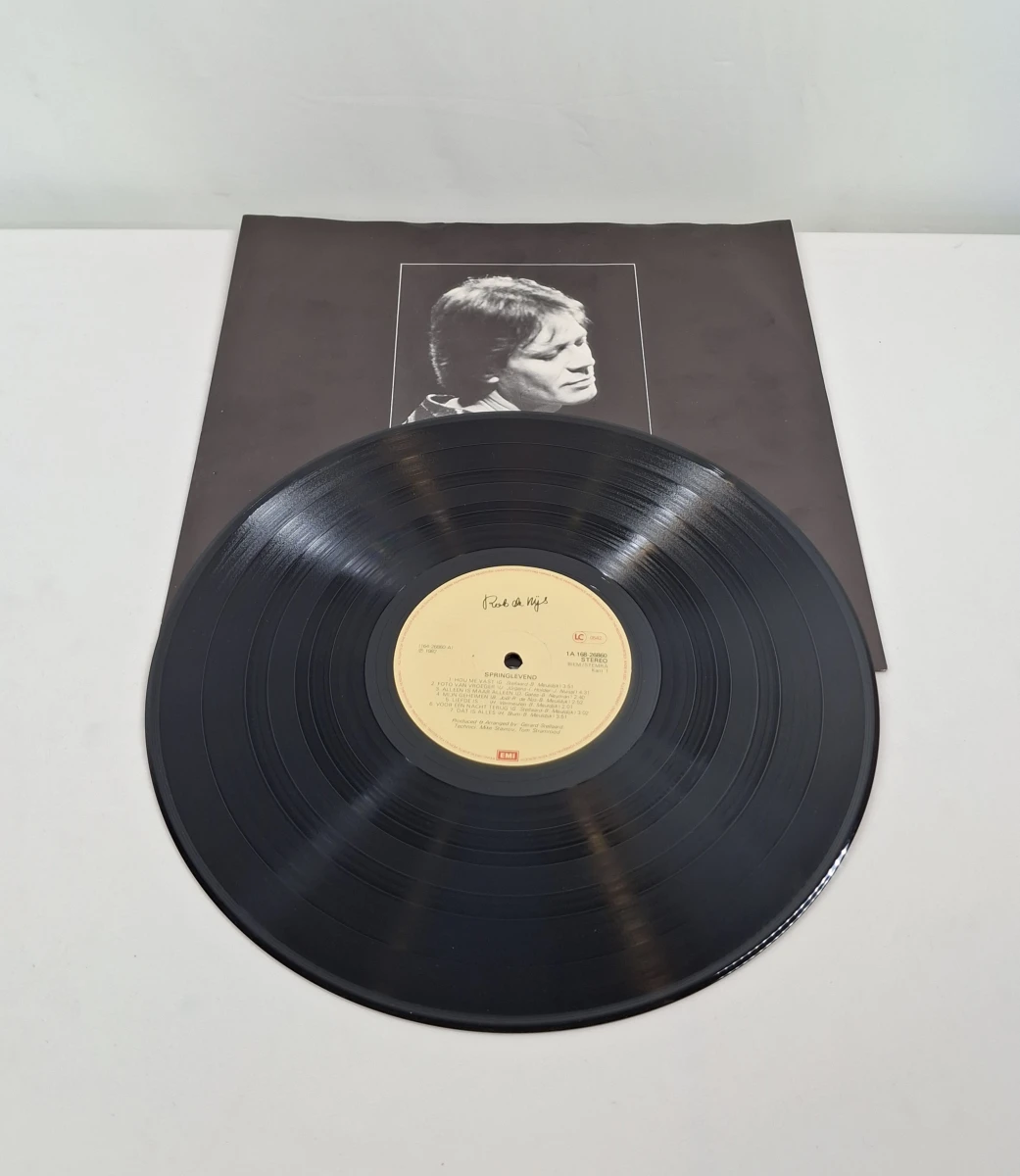Verzameling van 7 vinylplaten Rob de Nijs met hoes - foto 5