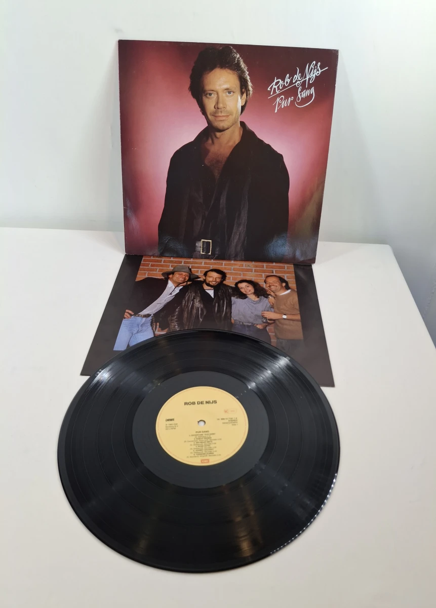 Verzameling van 7 vinylplaten Rob de Nijs met hoes - foto 16