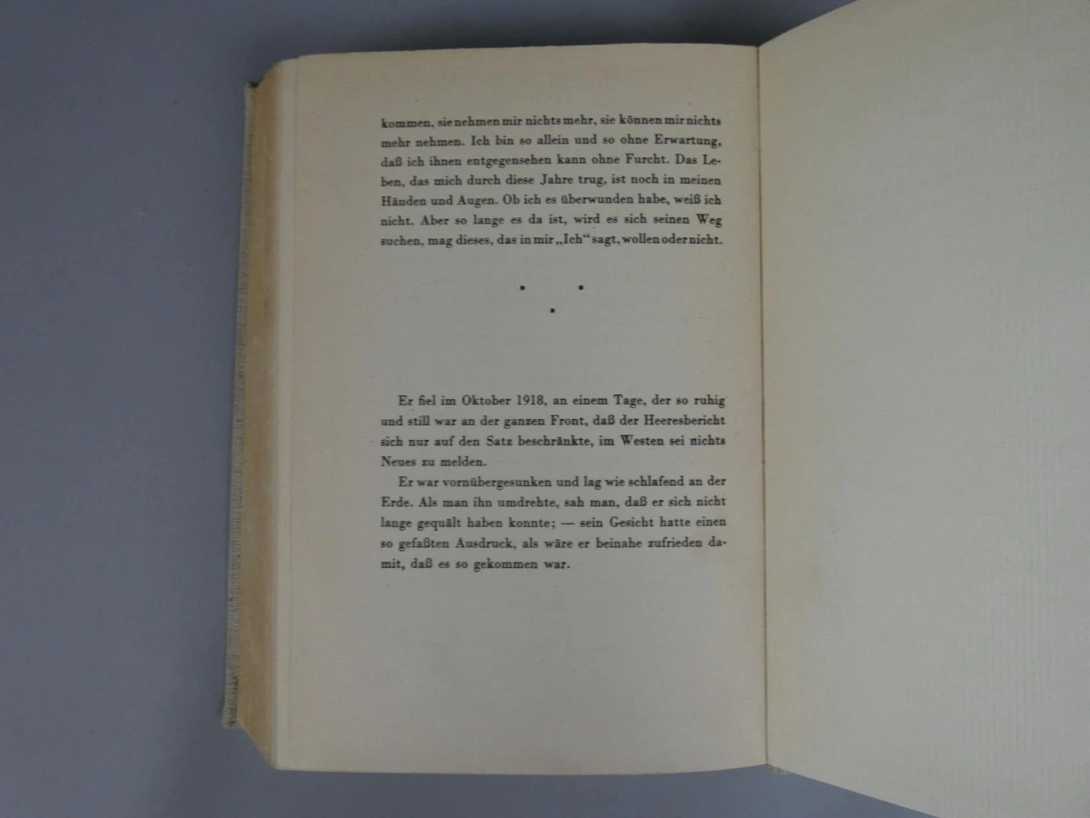 Roman "Im Westen nichts Neues" 1929