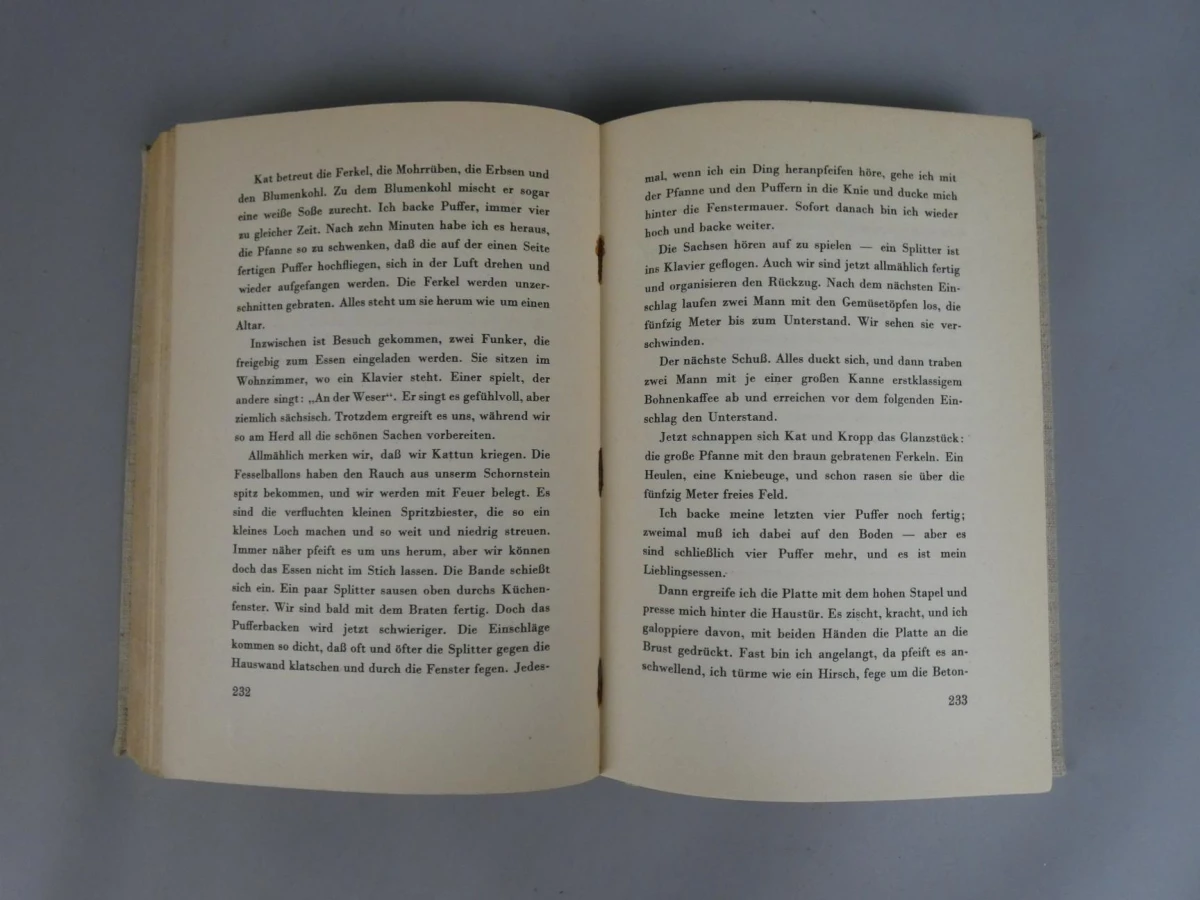 Roman "Im Westen nichts Neues" 1929
