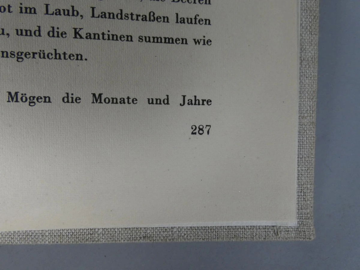 Roman "Im Westen nichts Neues" 1929