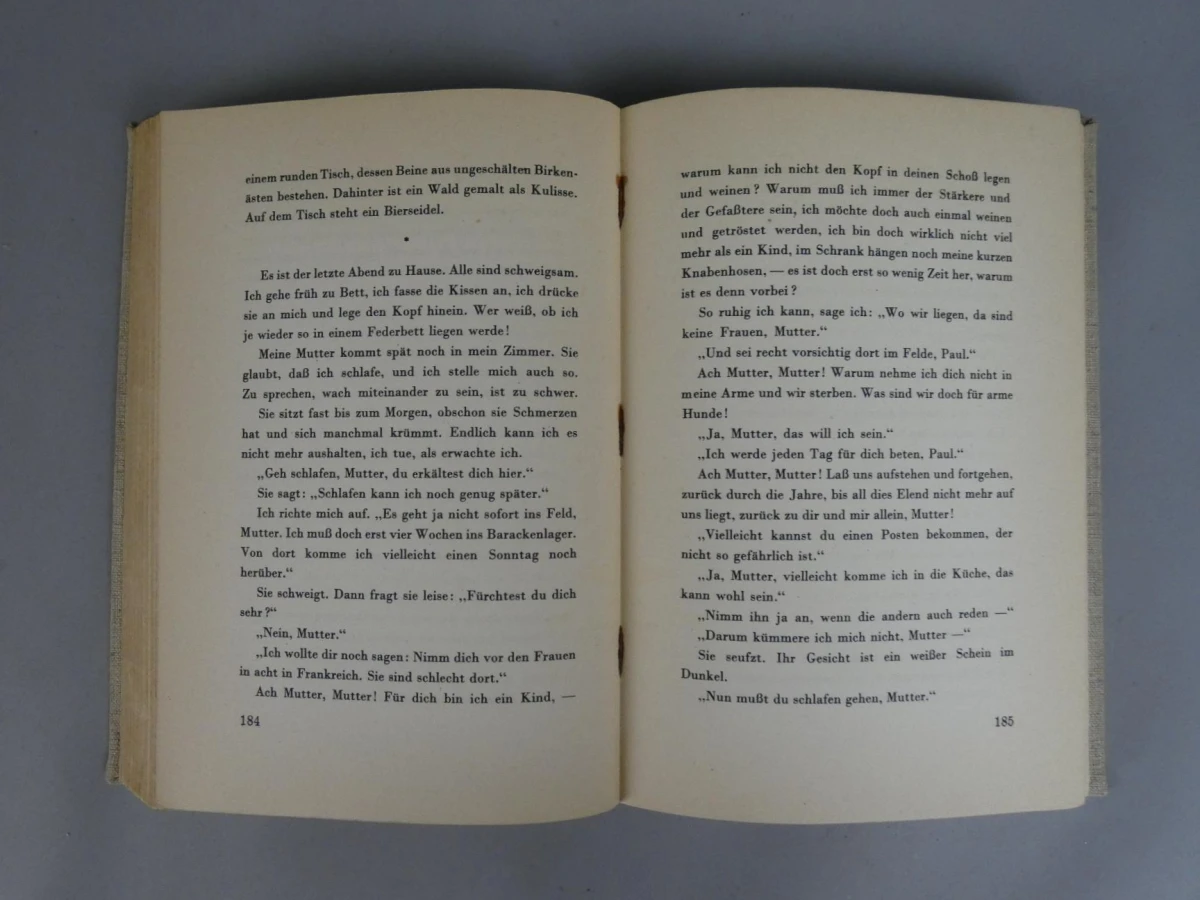 Roman "Im Westen nichts Neues" 1929