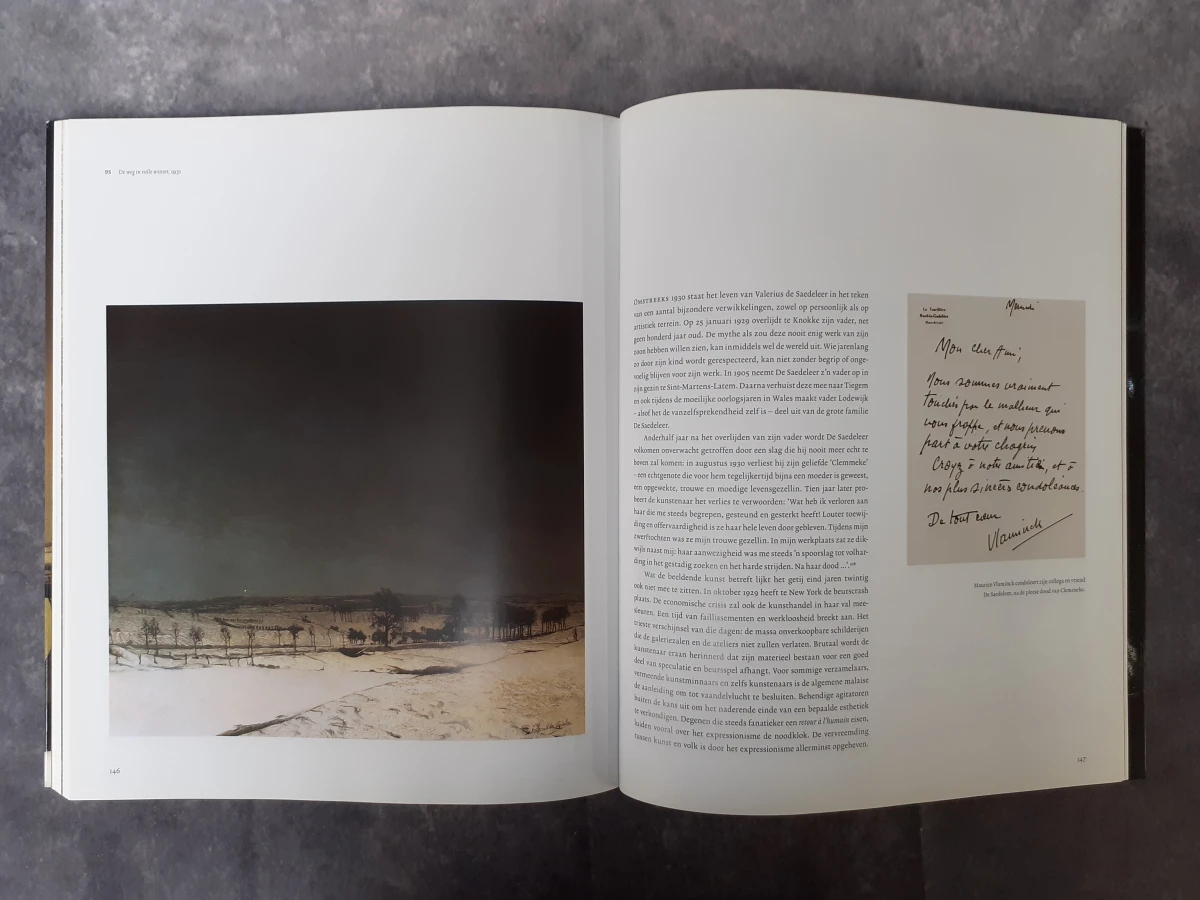 Boek: Valerius de Sadeleer - De tuin der afwezigen - foto 6