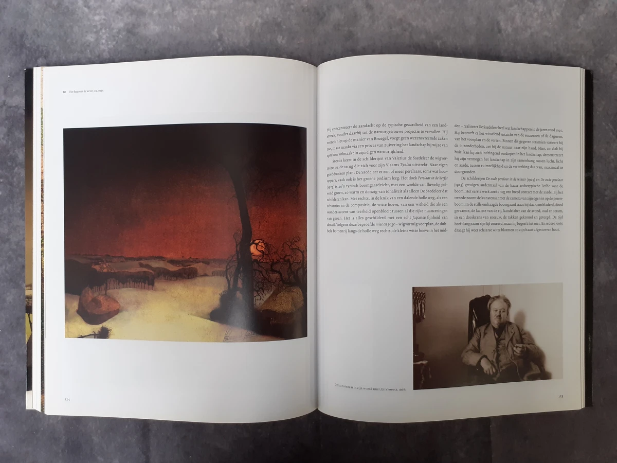 Boek: Valerius de Sadeleer - De tuin der afwezigen - foto 5