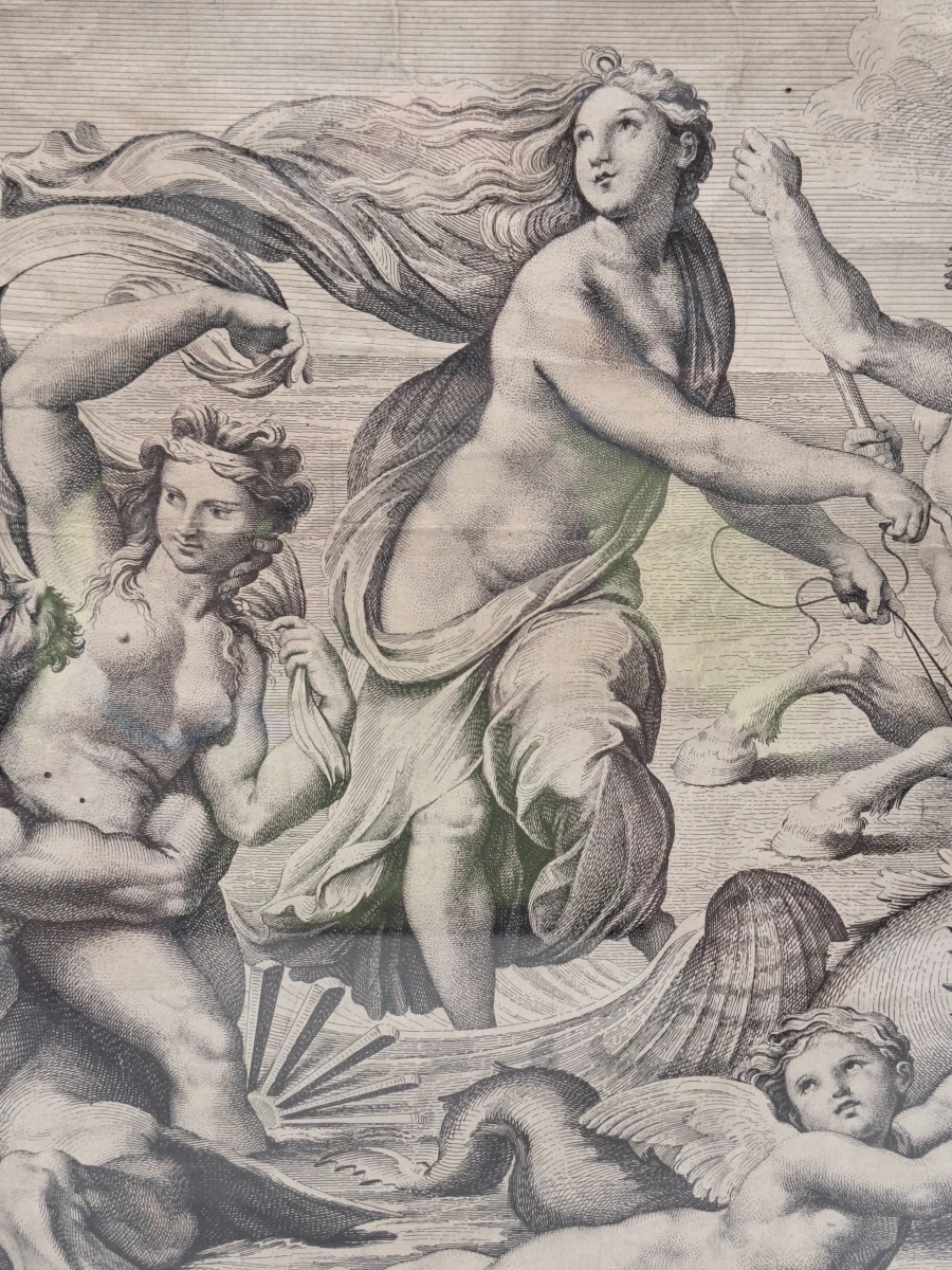 “De triomf van Galatea” - Italiaanse gravure, toegeschreven aan Annibale Carracci - naar Rafaël - foto 5