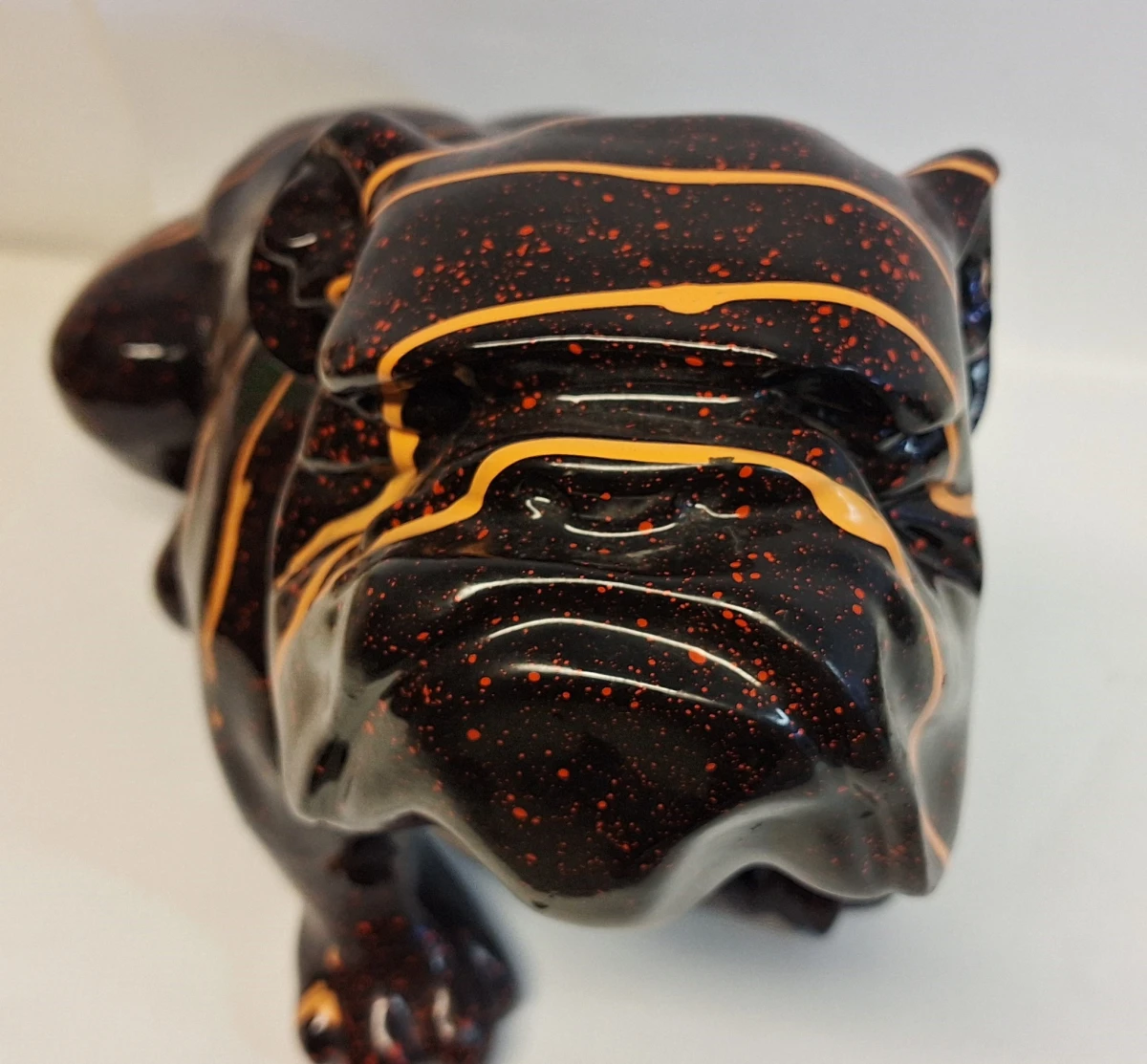 Engels Bulldog met opvallende oranje strepen - foto 4