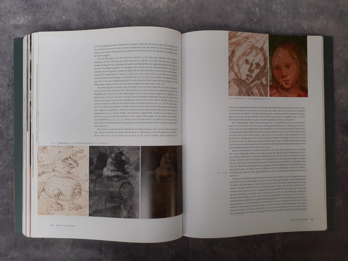 Boek: Jheronimus Bosch: Schilder en tekenaar - foto 7