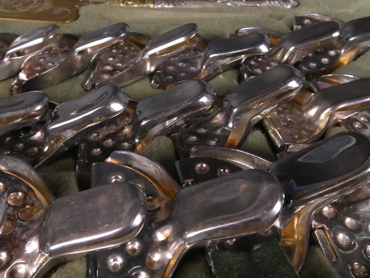 Vintage Zwitsers zilver/verzilverd luxe servies - foto 6