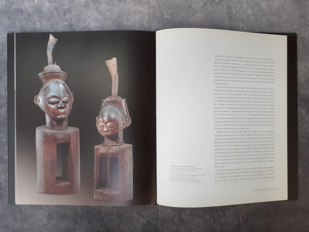 Boek: Art and Power in the Central African Savanna - foto 5